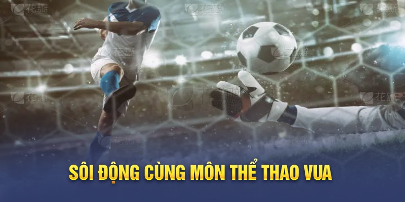 Sôi động cùng môn thể thao Vua