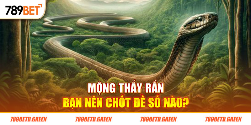 Nằm Mơ Thấy Rắn - Chốt Số Đề May Mắn Nào Để Đổi Đời