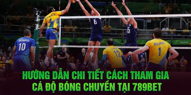 Hướng dẫn chi tiết cách tham gia cá độ bóng chuyền tại 789Bet