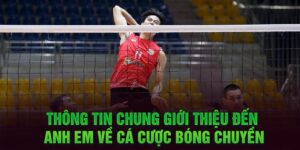 Thông tin chung giới thiệu đến anh em về cá cược bóng chuyền