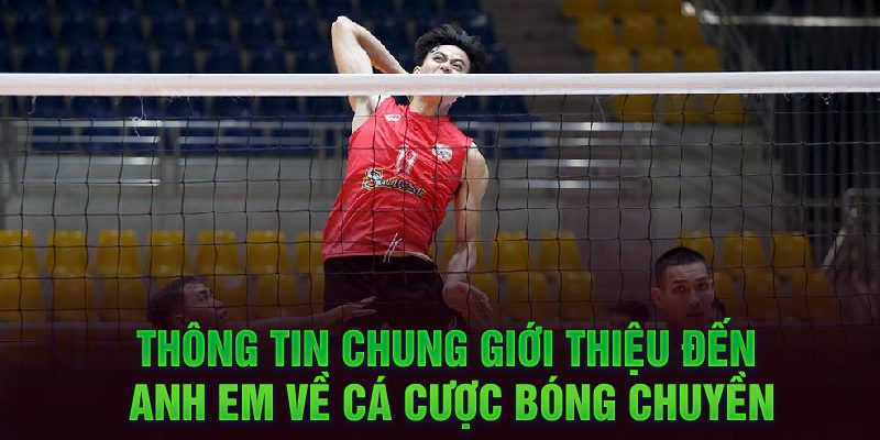 Thông tin chung giới thiệu đến anh em về cá cược bóng chuyền