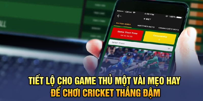 Tiết lộ cho game thủ một vài mẹo hay để chơi Cricket thắng đậm