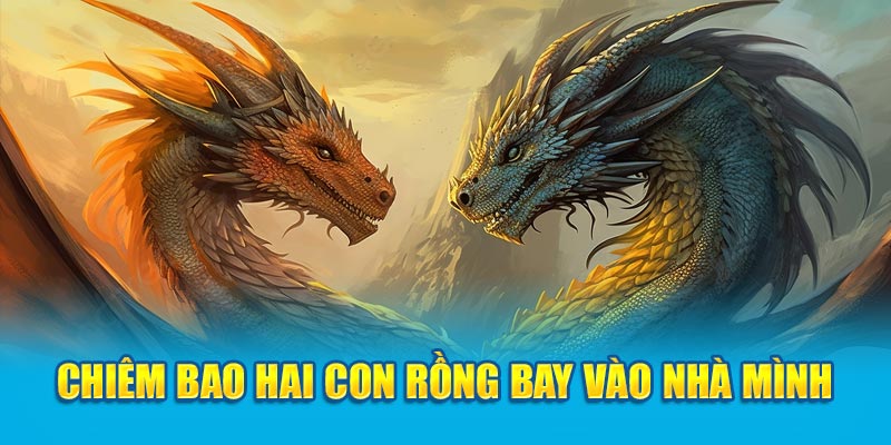 Chiêm bao hai con Rồng bay vào nhà mình