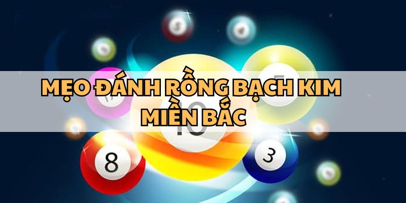 Những kinh nghiệm soi cầu rồng bạch kim từ những bậc thầy