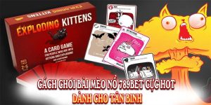 Cách Chơi Bài Mèo Nổ 789BET Cực Hot Dành Cho Tân Binh