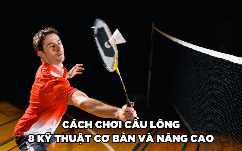 Cách Chơi Cầu Lông Cơ Bản, Chuẩn Không Cần Chỉnh Cho Newbie